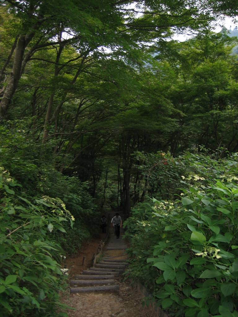 gal/Autour de Tokyo/Takaosan/106_0674.jpg